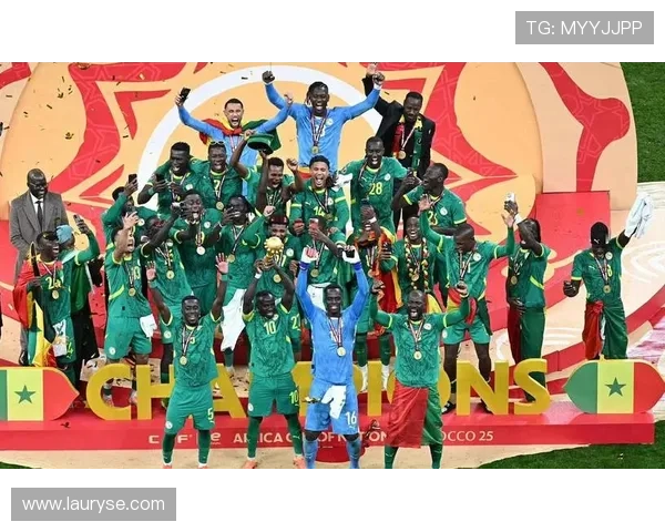 非洲杯决赛全程回顾 精彩对决与战略较量引发热议